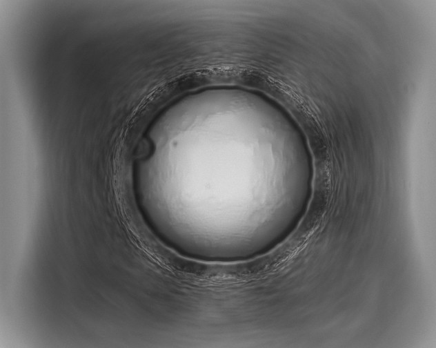 X0000116110913200911301120