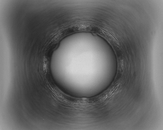 X0000116110914200911301120