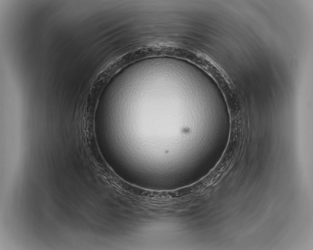 X0000116110919200911301120