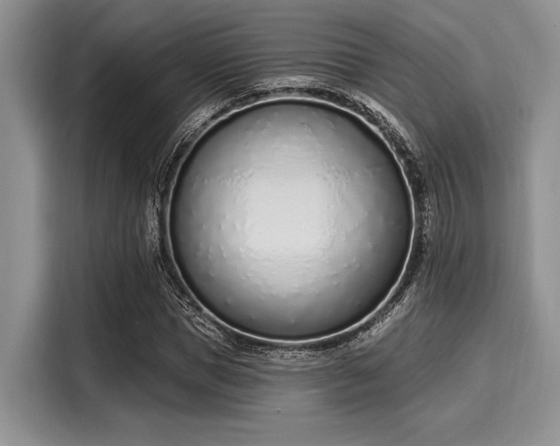 X0000116110921200911301120