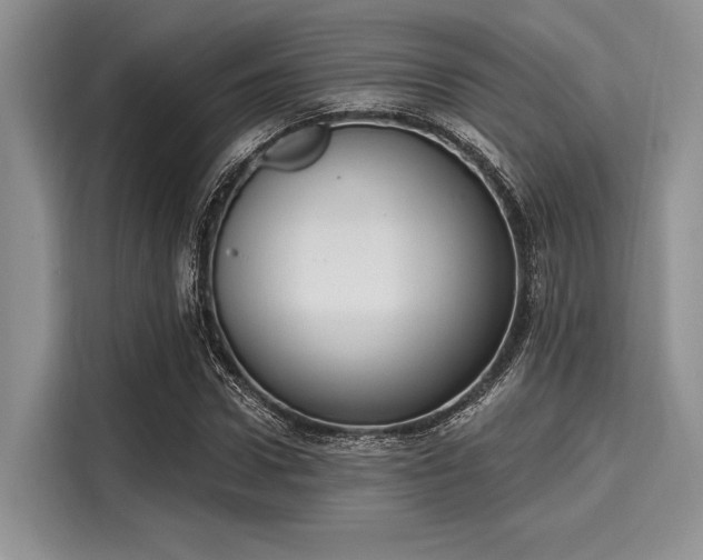 X0000116110922200911301120