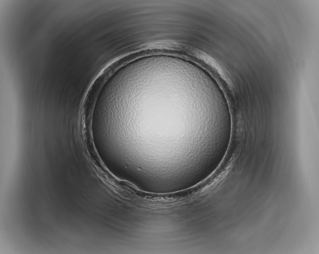 X0000116110923200911301120