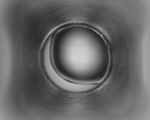 X0000116110926200911301120