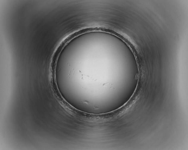 X0000116110927200911301120