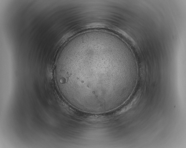 X0000116110929200911301120