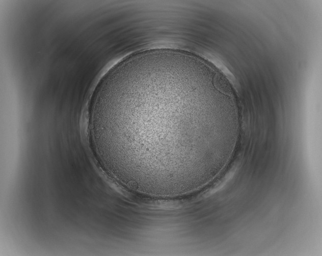 X0000116110933200911301120