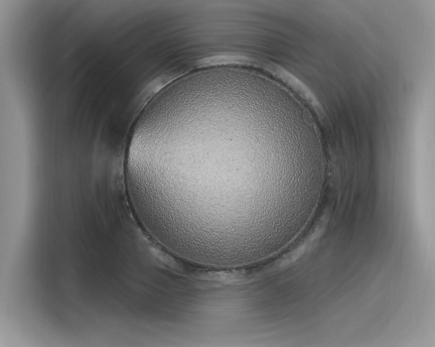 X0000116110937200911301120