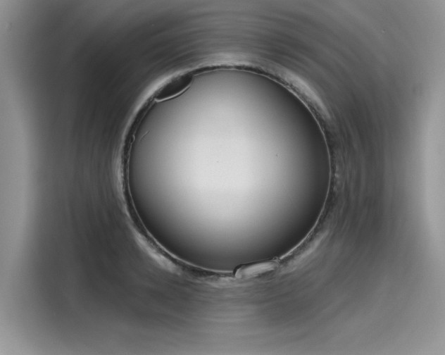 X0000116110942200911301120