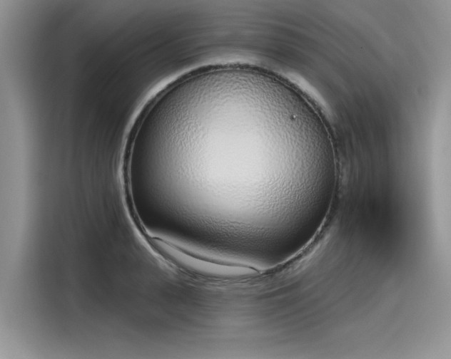 X0000116110943200911301120