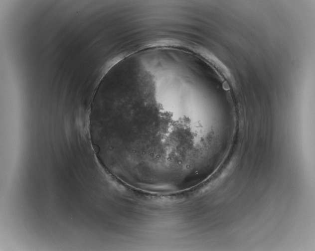 X0000116110945200911301120