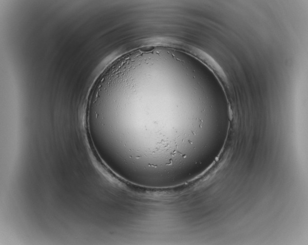 X0000116110946200911301120