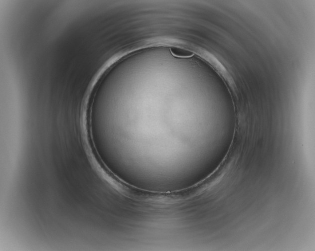 X0000116110947200911301120