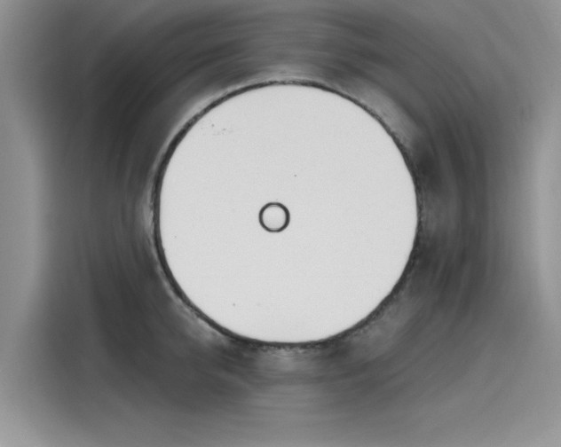 X0000116110950200911301120