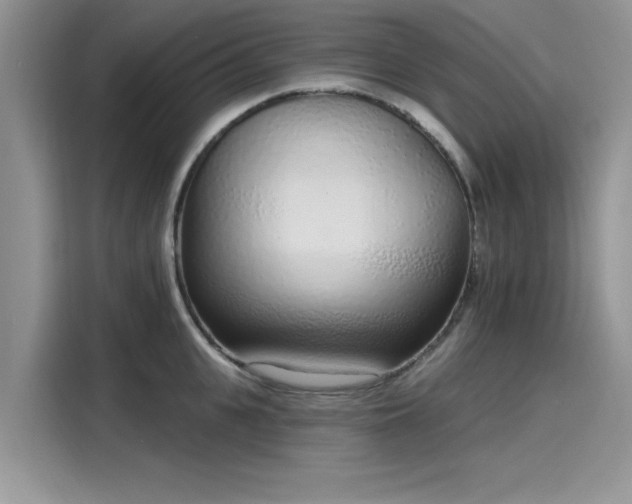 X0000116110951200911301120