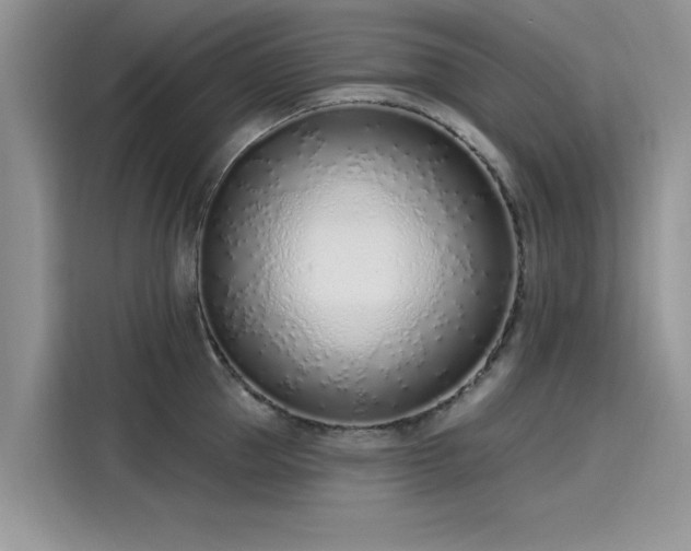 X0000116110953200911301120