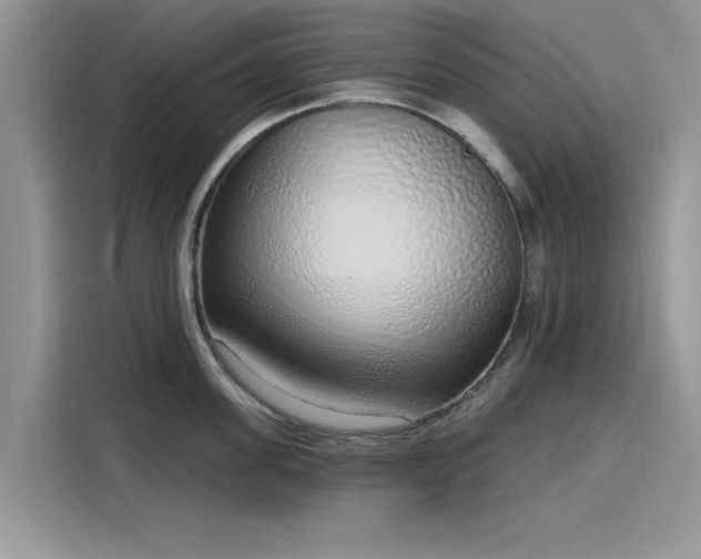 X0000116110955200911301120