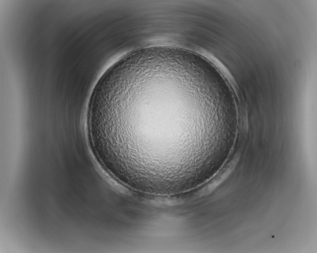 X0000116110957200911301120