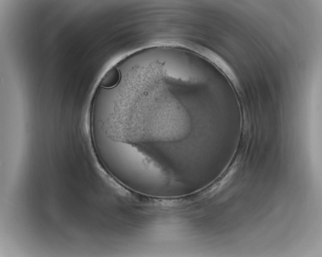 X0000116110958200911301120