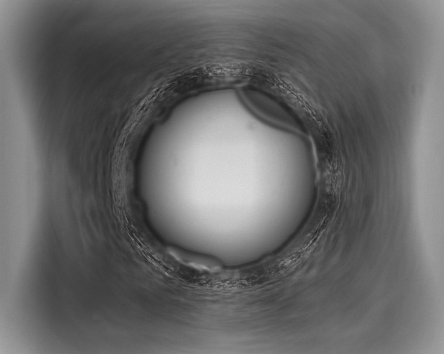 X0000116110961200911301120