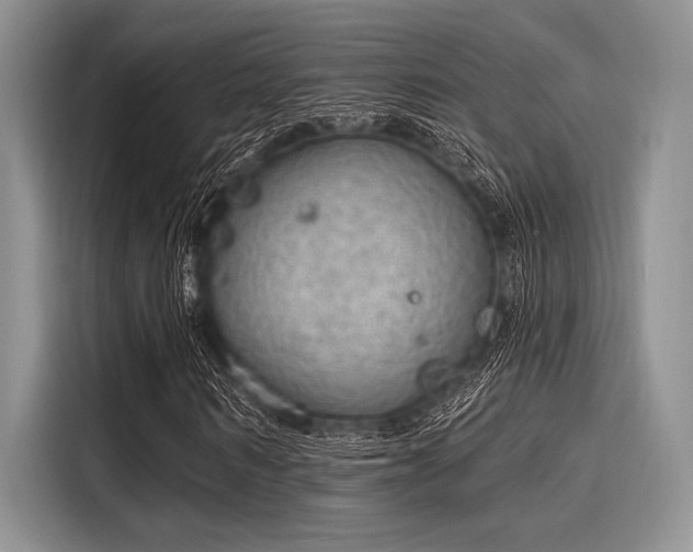 X0000116110962200911301120