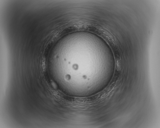 X0000116110963200911301120