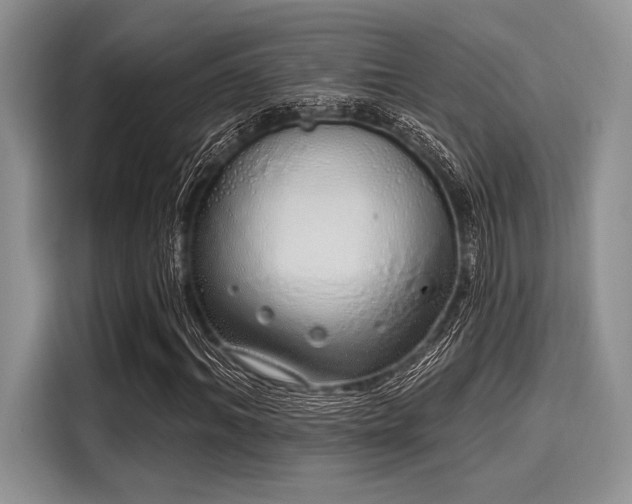 X0000116110964200911301120