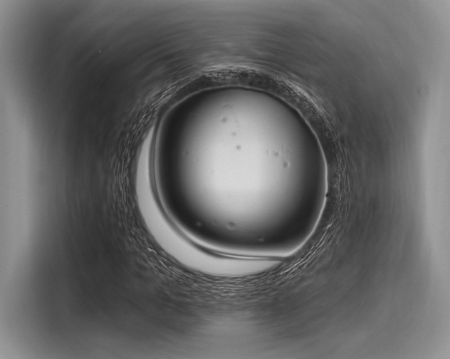 X0000116110965200911301120