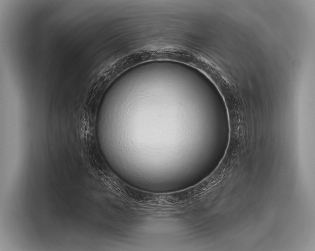 X0000116110966200911301119