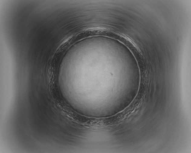 X0000116110967200911301119