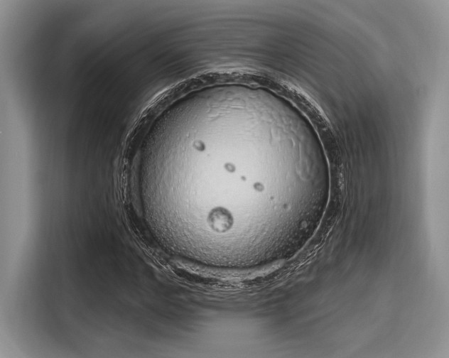 X0000116110968200911301119