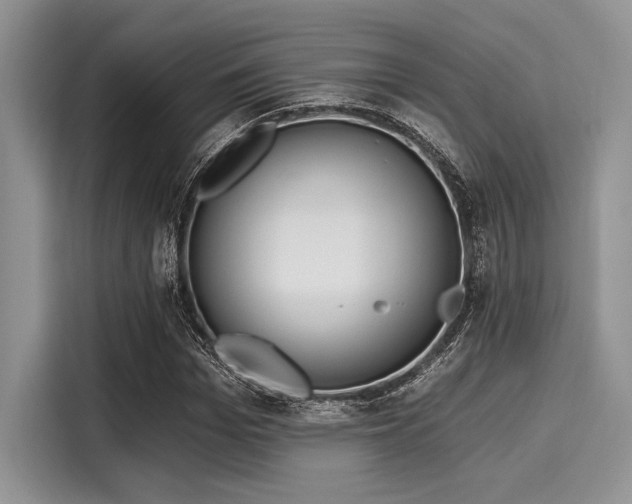 X0000116110969200911301119