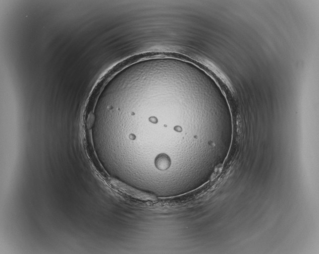 X0000116110972200911301119