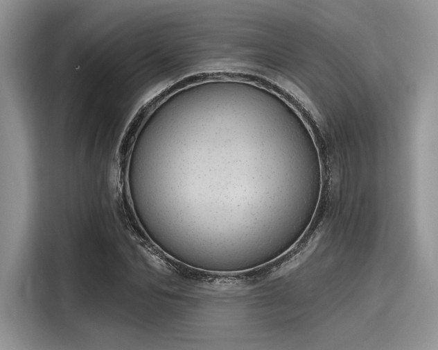 X0000116110974200911301119