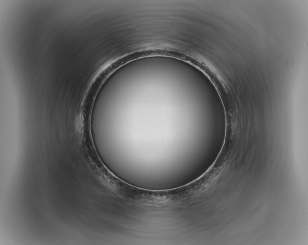 X0000116110975200911301119