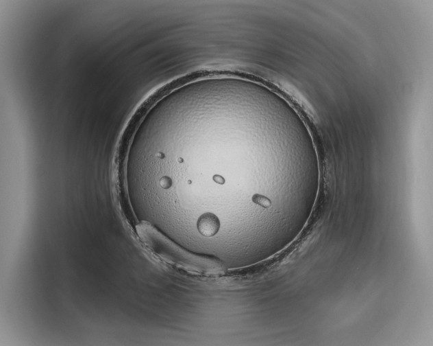 X0000116110976200911301119