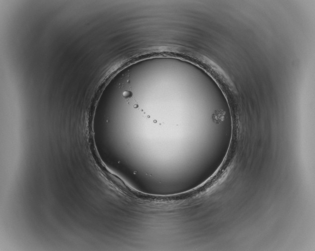 X0000116110977200911301119