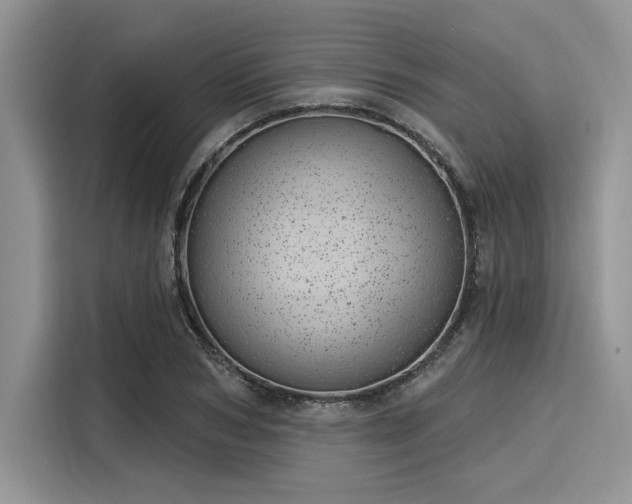 X0000116110978200911301119