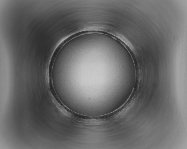 X0000116110980200911301119