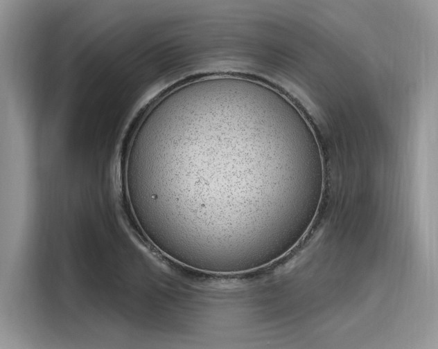 X0000116110982200911301119