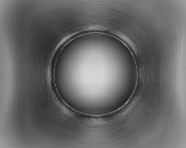 X0000116110983200911301119