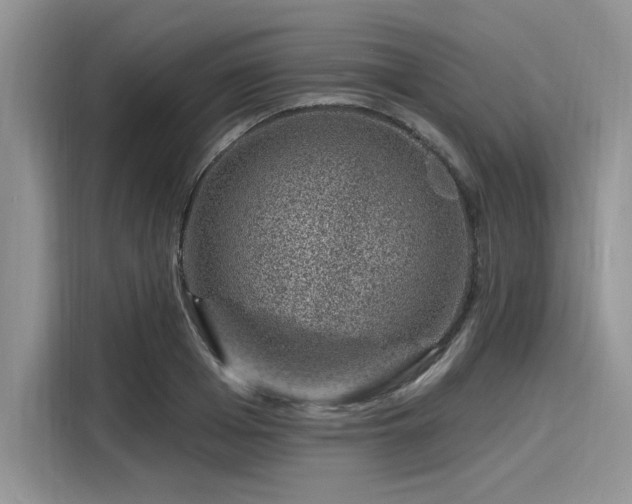 X0000116110985200911301119