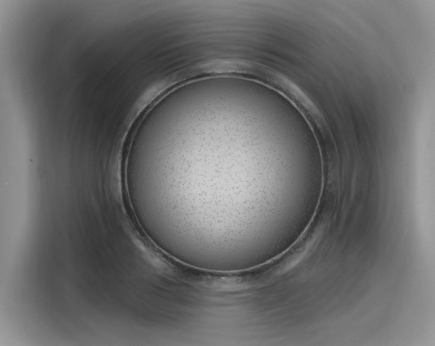 X0000116110986200911301119