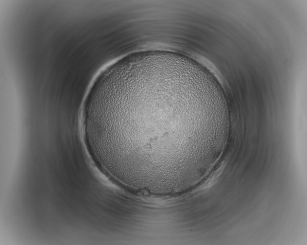 X0000116110987200911301119