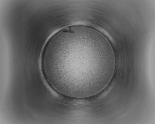 X0000116110991200911301119