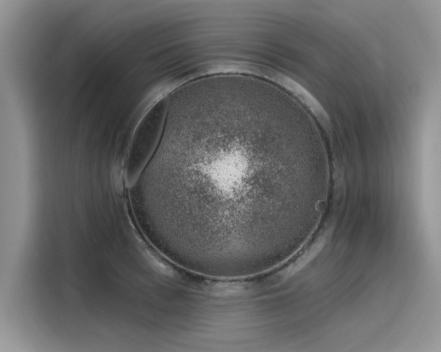 X0000116110993200911301119