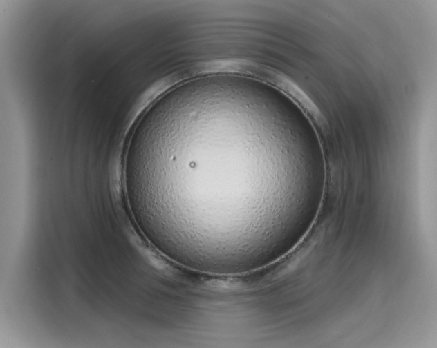 X0000116110994200911301119