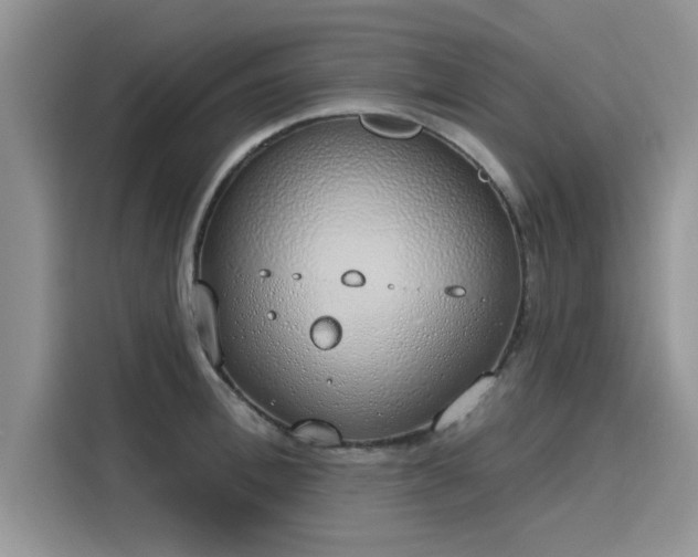 X0000116110996200911301119