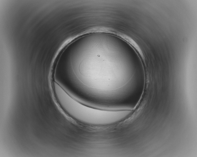 X0000116110997200911301119