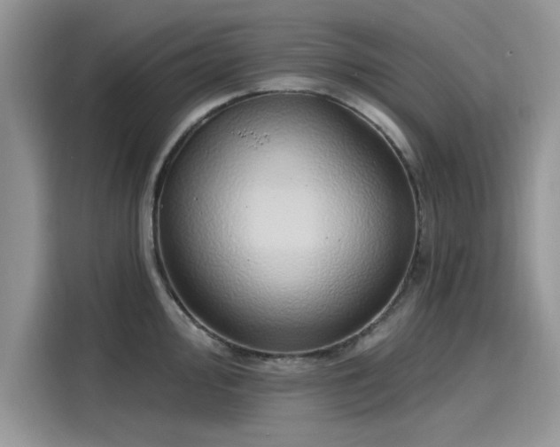 X0000116111000200911301119