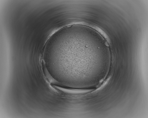 X0000116111001200911301119